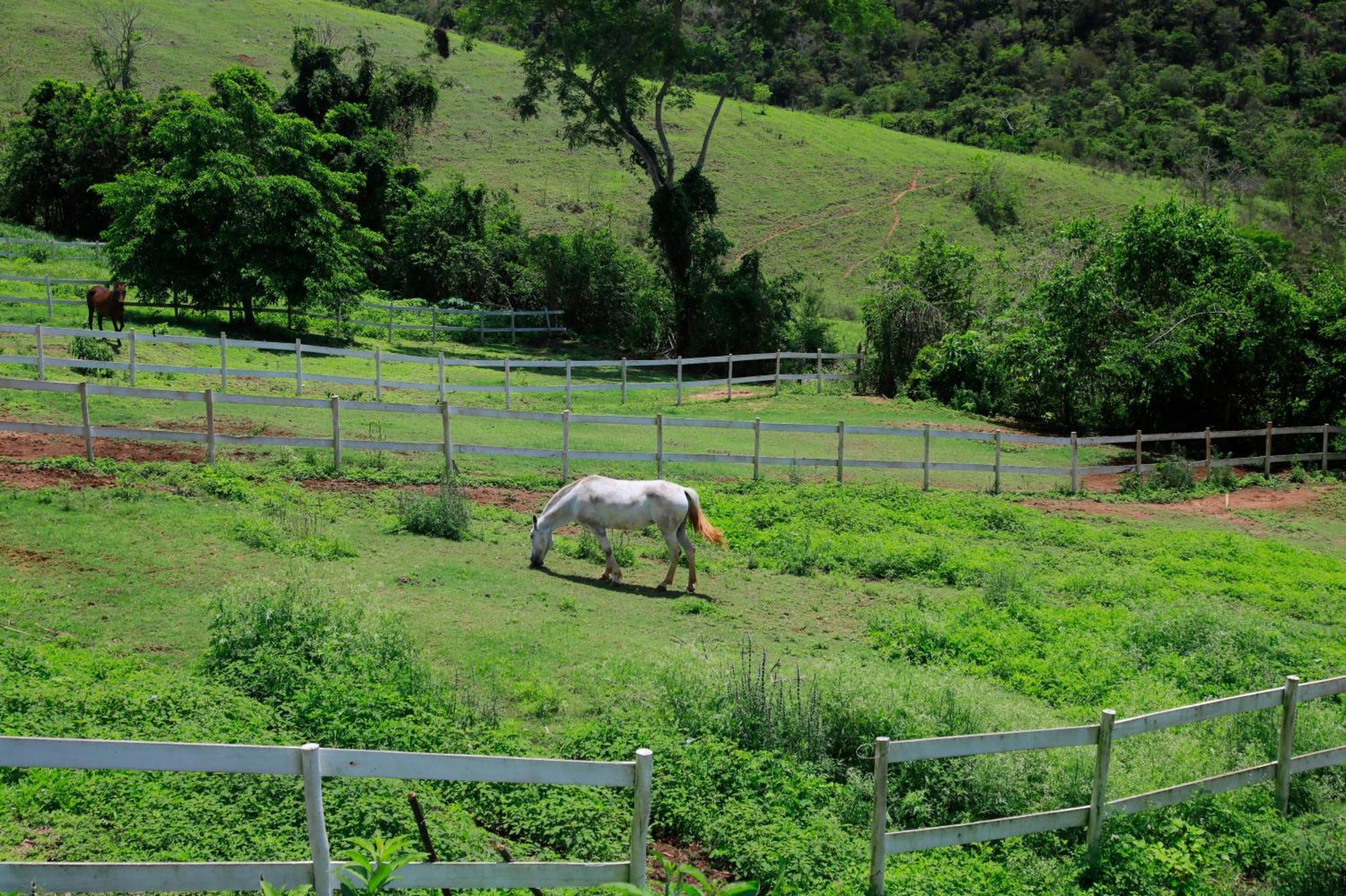 Cabana Secretario Petrópolis المظهر الخارجي الصورة